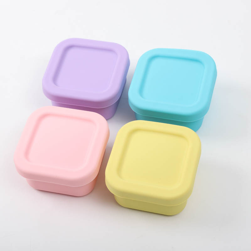 Sealed Silicone Lunch Box for  - Food Snacks For Kids review and price