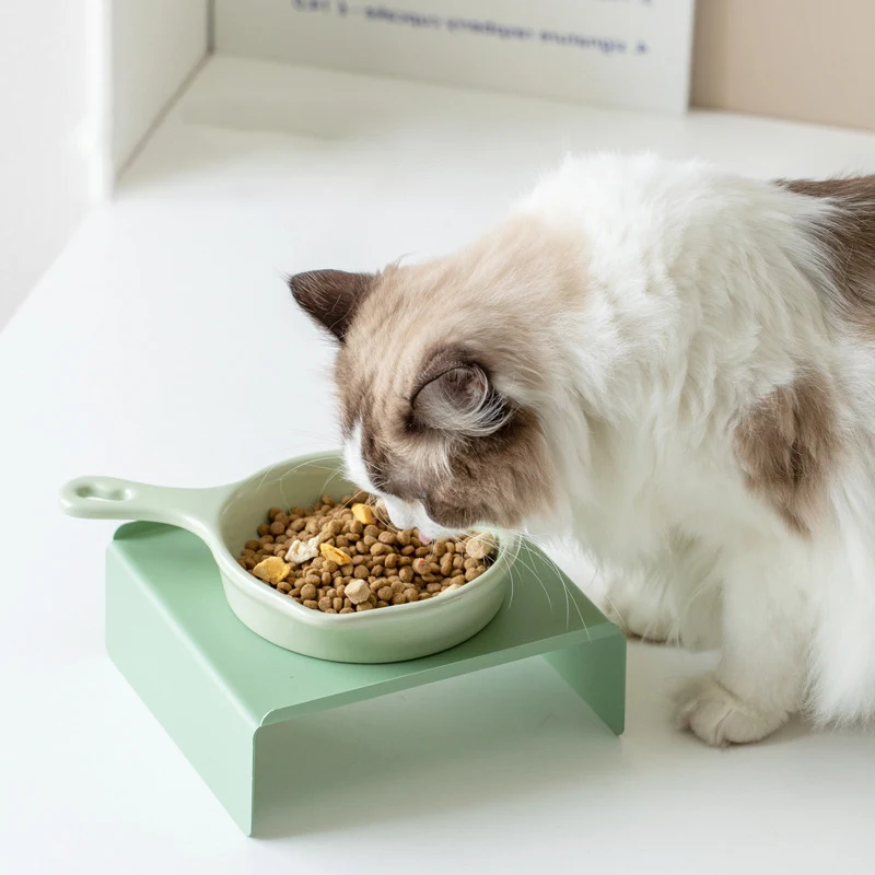Cat Food Water Bowl with Handl - Food Snacks With Iron review and price